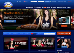 All Slots Live Dealer Screenshot