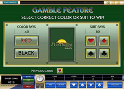 Adventure Palace Gamble Feature Screenshot