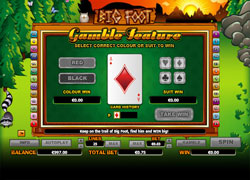 Big Foot Gamble Feature Screenshot